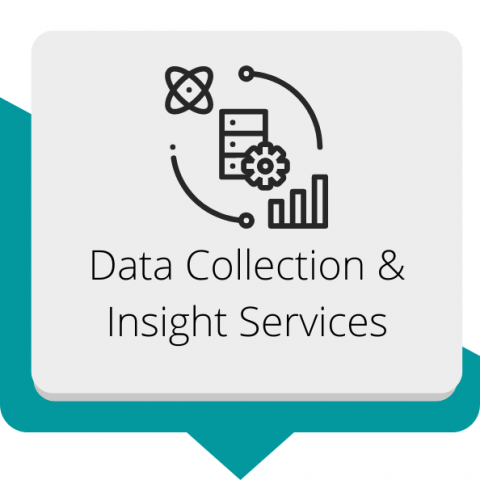 Data Collection & Insight Services