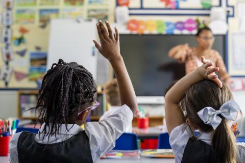Students raising hands