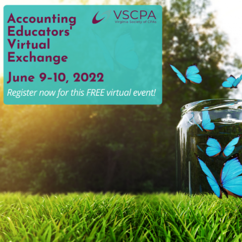 accounting educators' virtual exchange