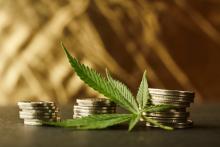 Marijuana Leaf with Coins